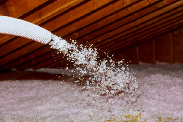 Best Specialized Insulation Services in Nneconne, WI