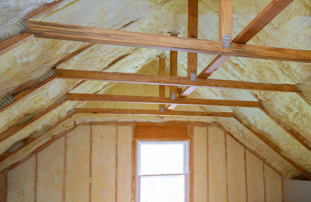 Best Specialized Insulation Services in Nneconne, WI