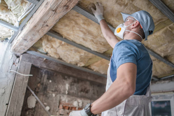 Best Cellulose Insulation in Nneconne, WI
