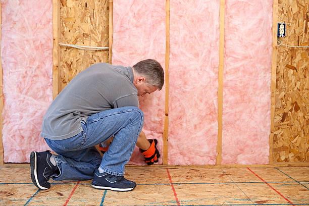 Best DIY Insulation Kits and Guidance in Nneconne, WI