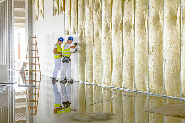 Best Insulation Maintenance and Repair in Nneconne, WI